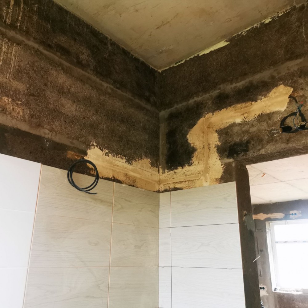 пос. Шапки 2025 - Проект Эгоист. Фото  №14