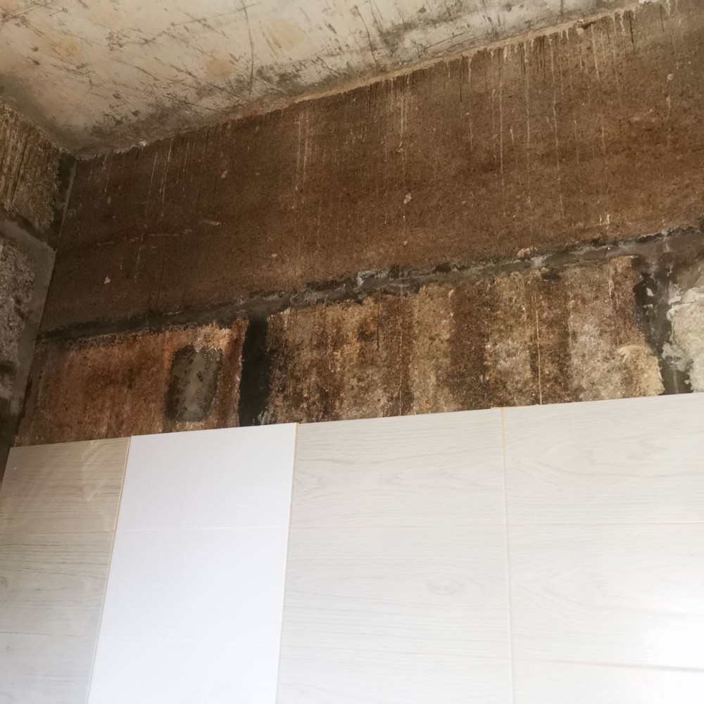 пос. Шапки 2025 - Проект Эгоист. Фото  №16