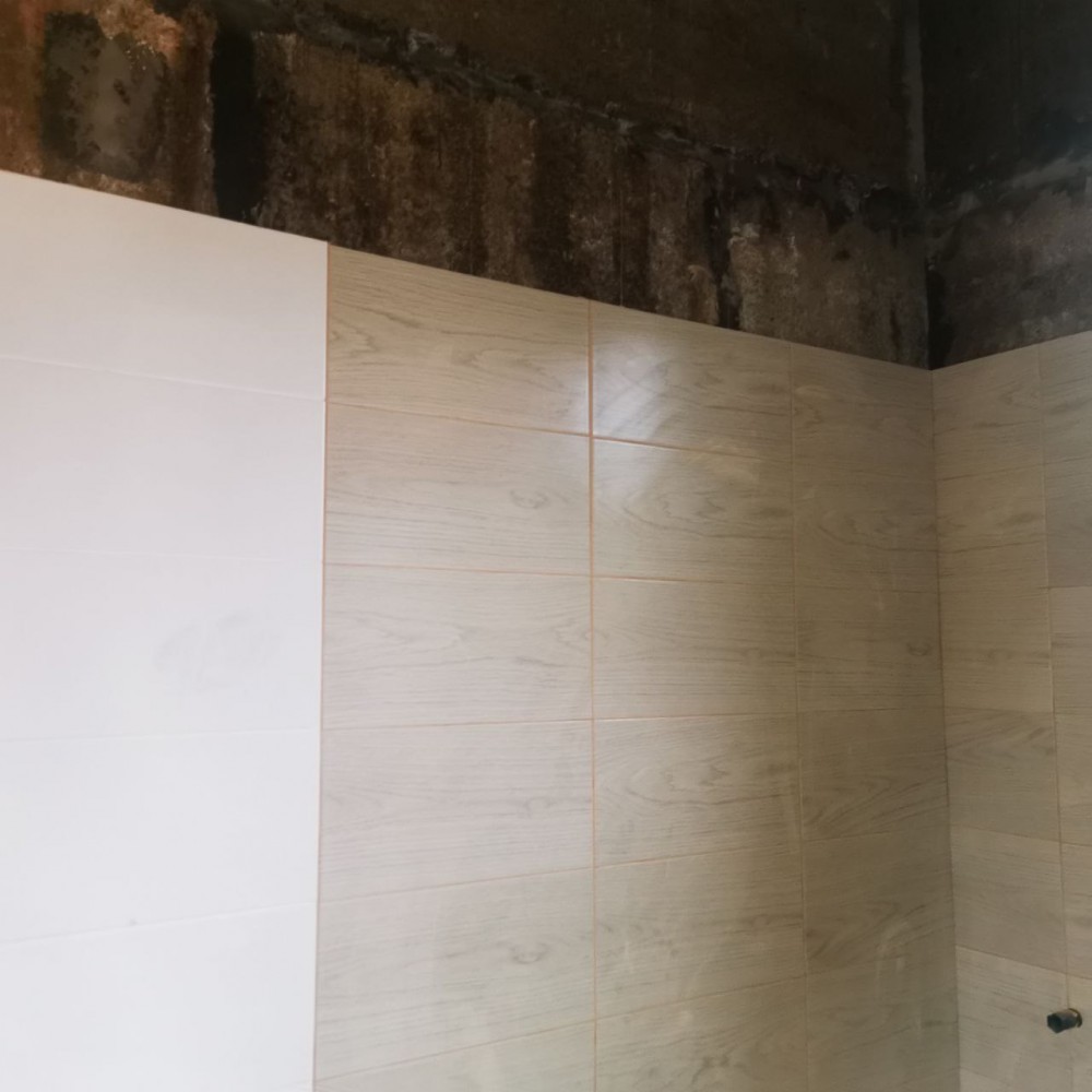 пос. Шапки 2025 - Проект Эгоист. Фото  №18